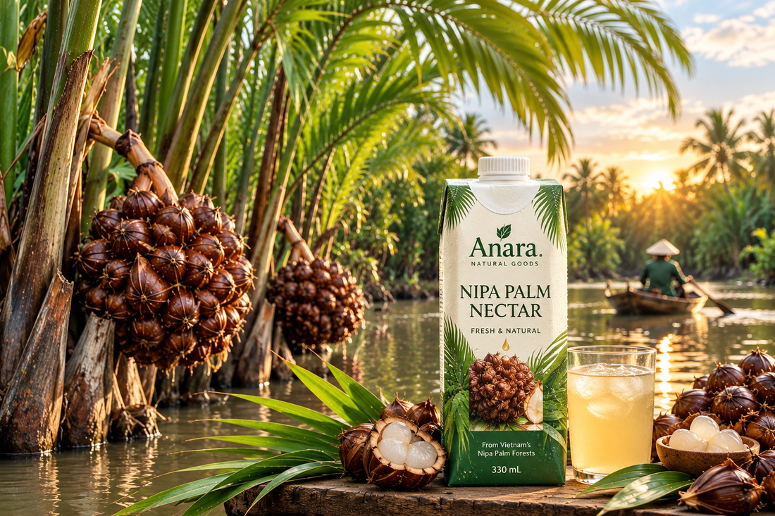 Nipa Palm — A Treasured Sweetness from Vietnam’s Waterways
