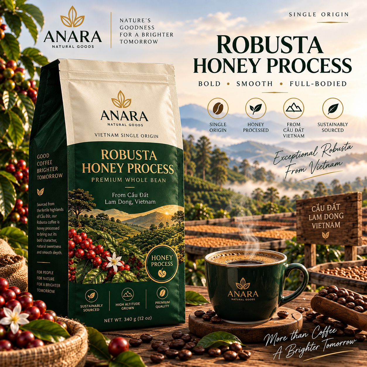 Anara Premium Honey-Processed Robusta Coffee – Whole Bean, 340 g