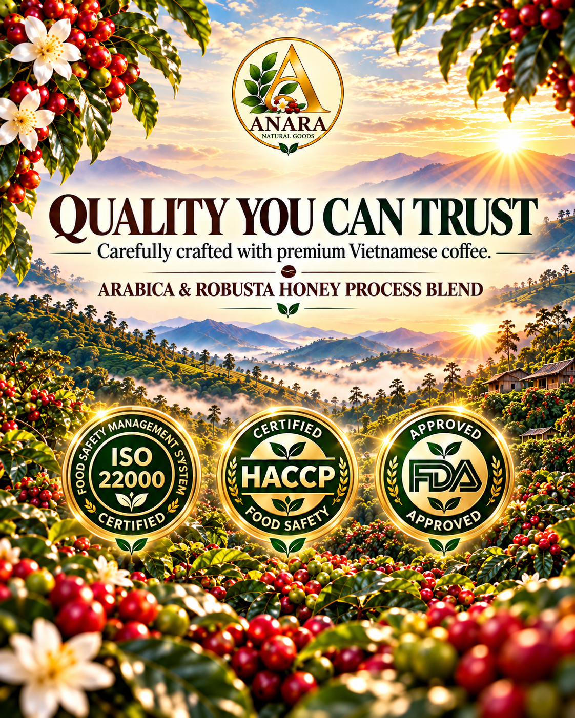 Anara Arabica & Robusta Honey Process Blend - 1 KG