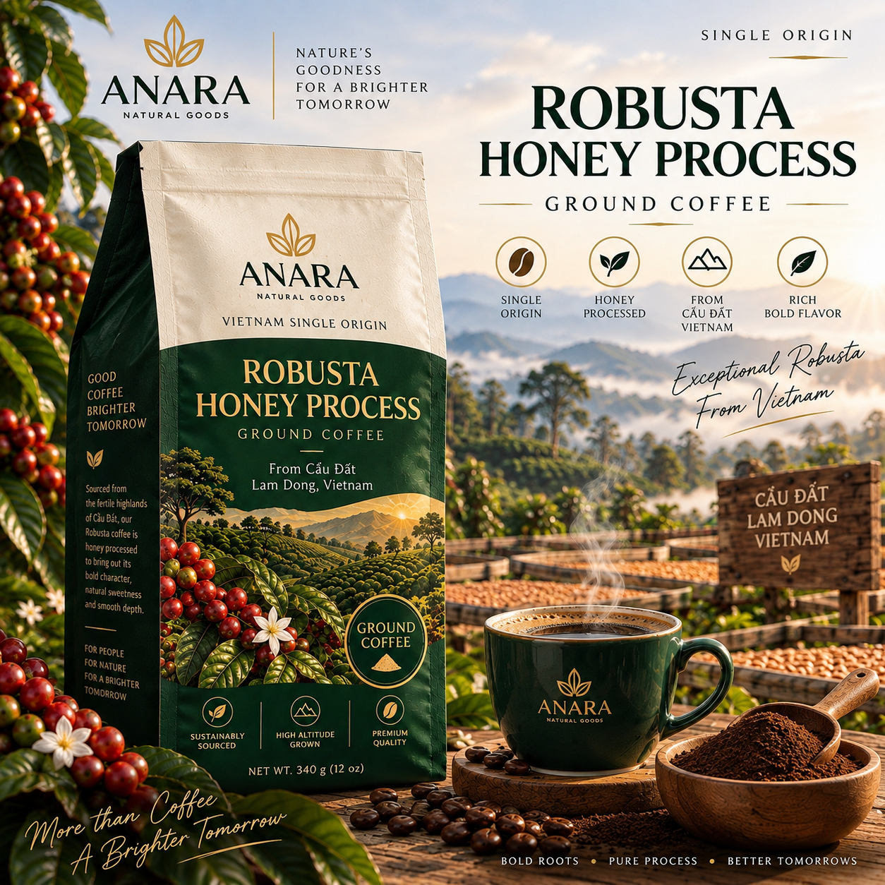 Anara Premium Honey-Processed Robusta Coffee – Ground, 340 g