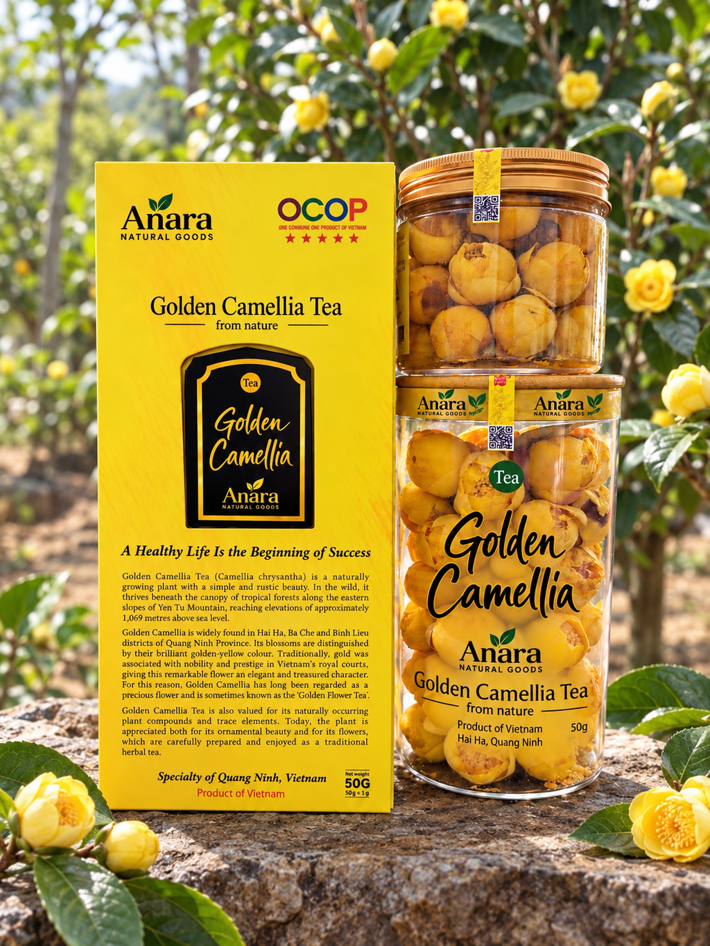 Premium Golden Camellia Tea