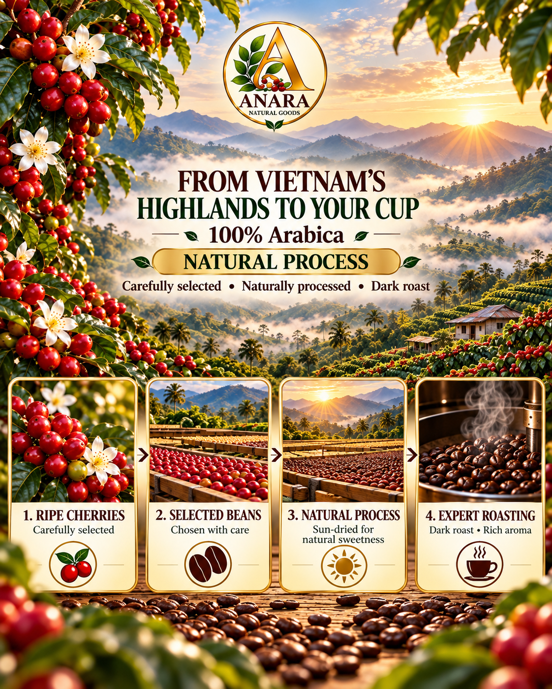 Anara Arabica Dark Roast - 500 G