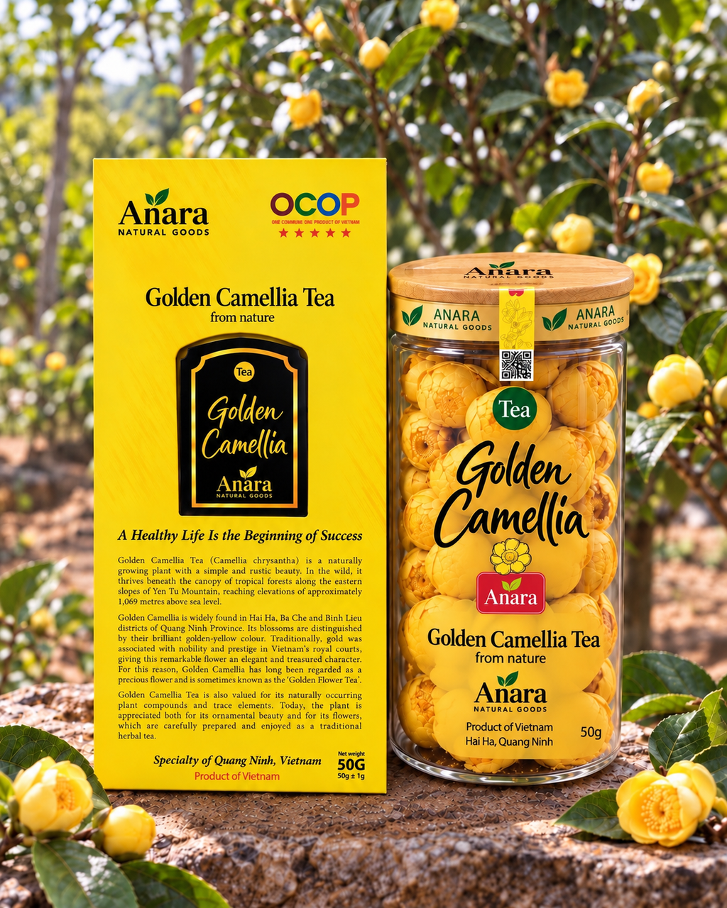 Premium Golden Camellia Tea Ja - 20g & 50g